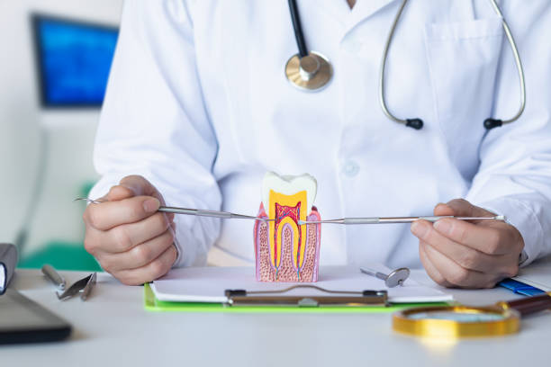 Best Emergency Dentist for Lost Fillings or Crowns in Crestview, FL